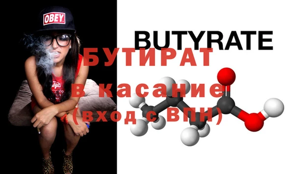 сатива Новодвинск