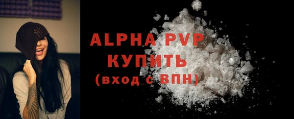 стафф Арсеньев