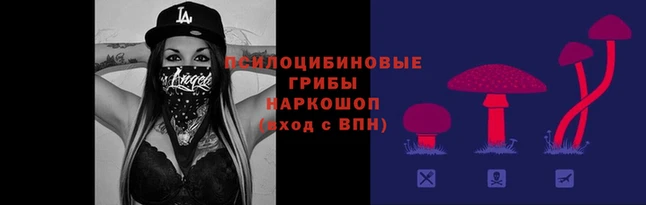 сатива Алексеевка